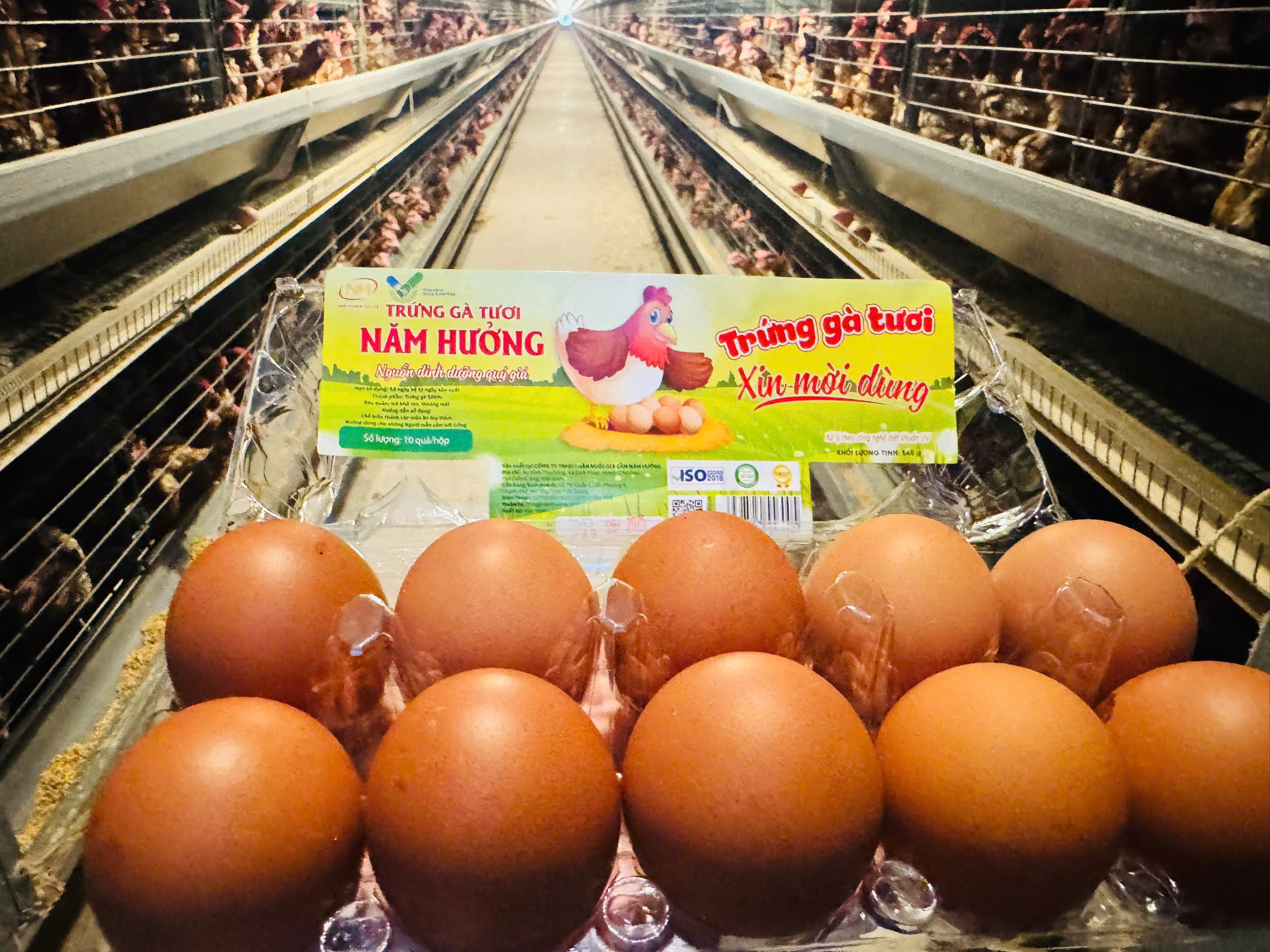 Nghịch lý giá trứng gà: Người nuôi lỗ, người tiêu dùng vẫn mua giá cao