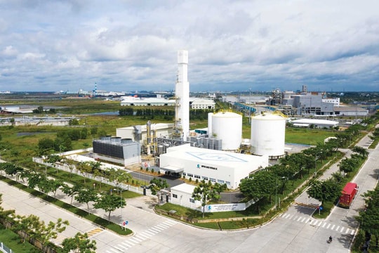 Khám phá thế giới Nguồn nhân lực và đổi mới sáng tạo - Phần 3