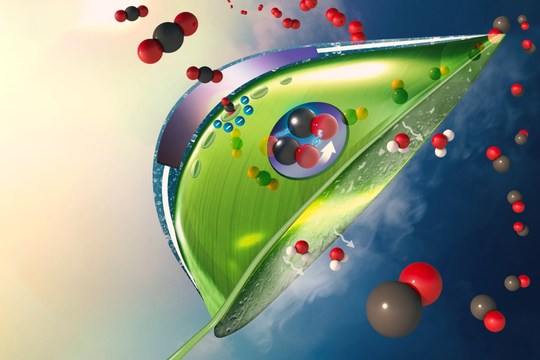 Phân tích chuyên sâu về Sách - Phim ảnh - Kết nối - Phần 2