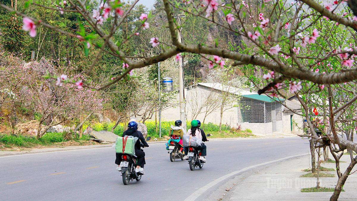 Khi khói bếp gọi Xuân về