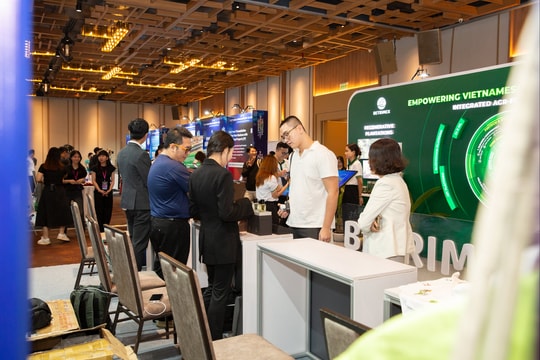 Hướng dẫn chi tiết về Kinh tế và thị trường - Phần 3